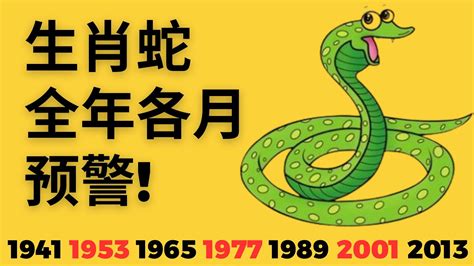 2023屬蛇每月運勢|【屬蛇2023生肖運勢】運勢覆向上，或有霧水情緣｜ 